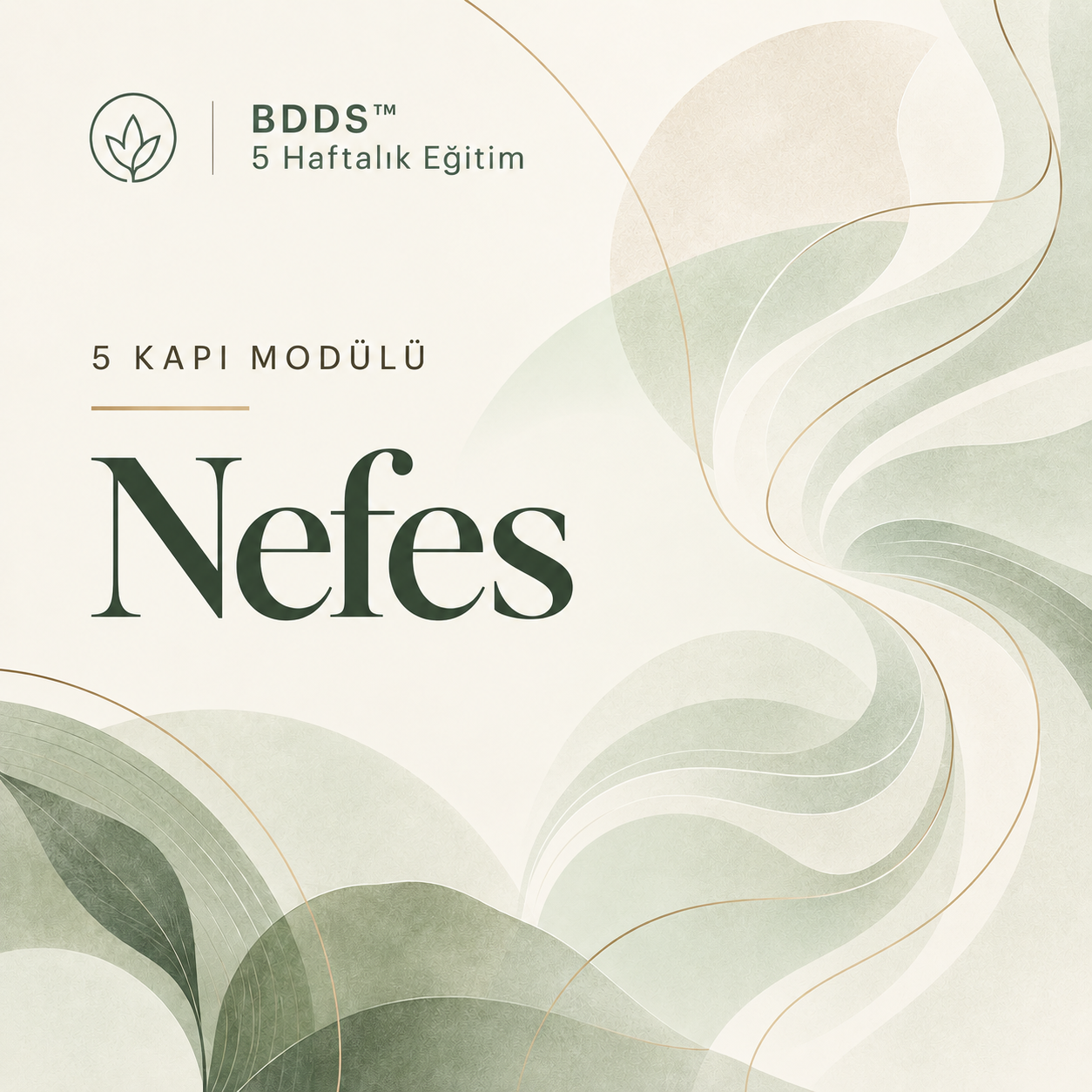 Nefes modülü kapağı