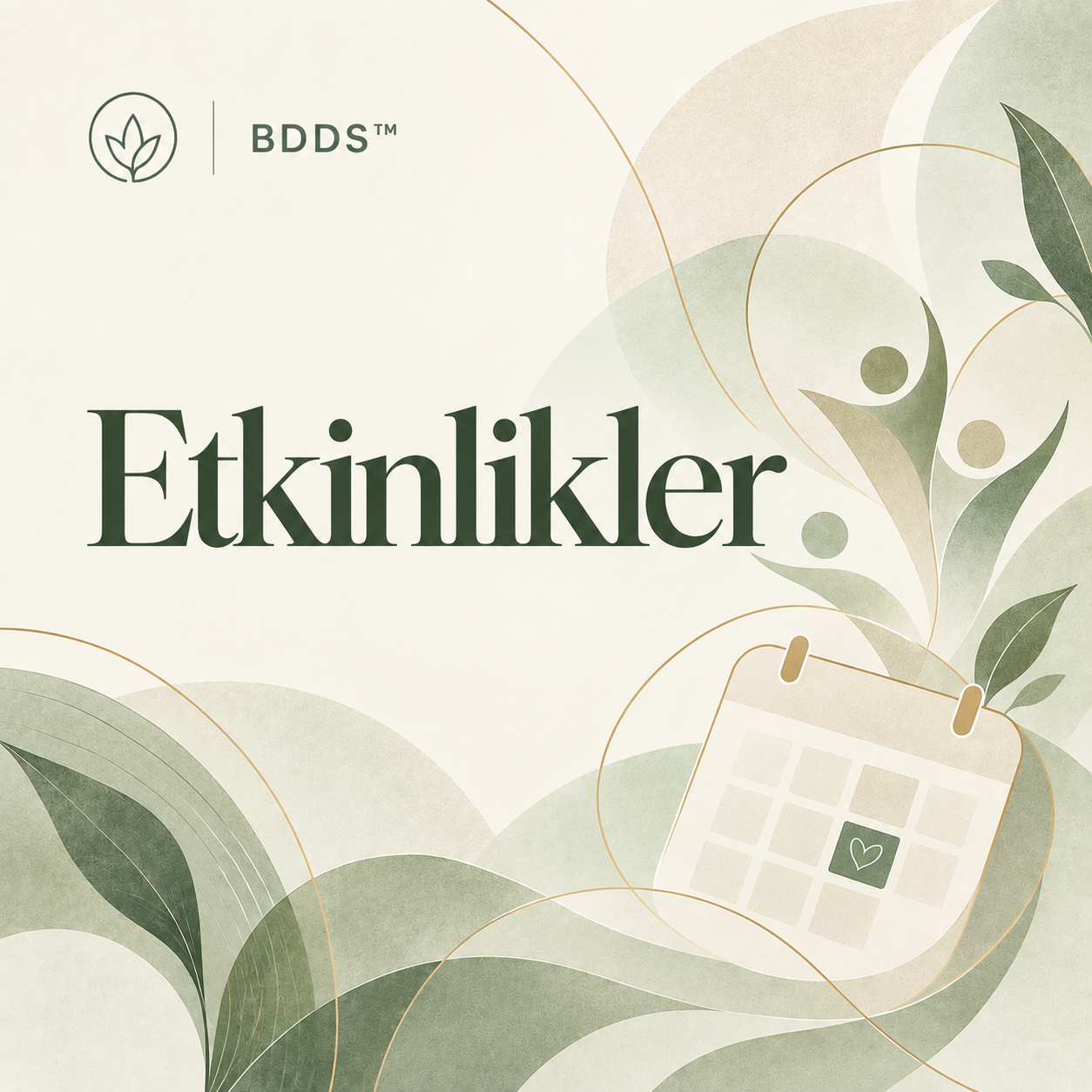 BDDS™ Etkinlikler