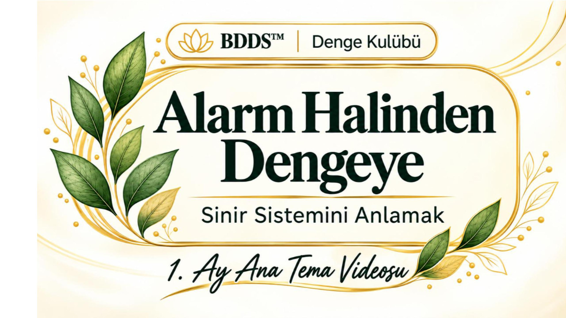 Alarm Halinden Dengeye | Sinir Sistemini Anlamak
