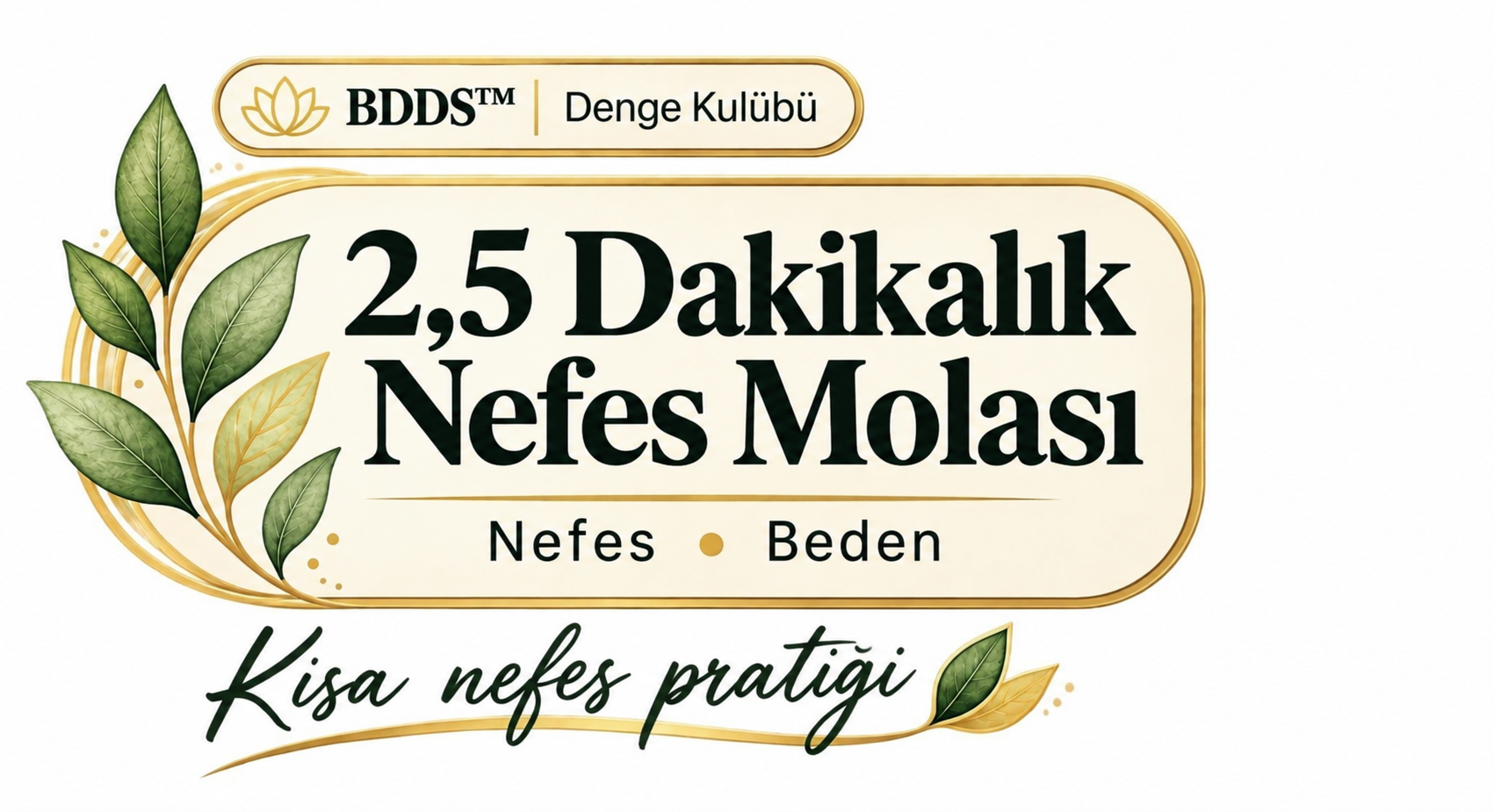 2,5 Dakikalık Nefes Molası