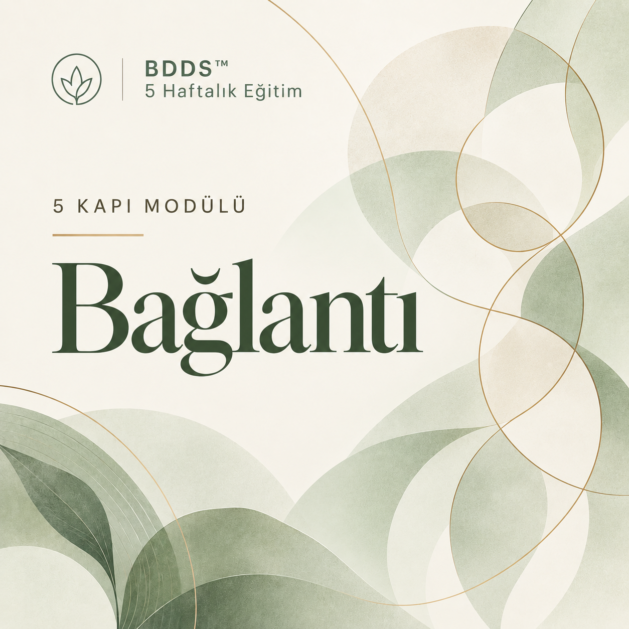 Bağlantı modülü kapağı