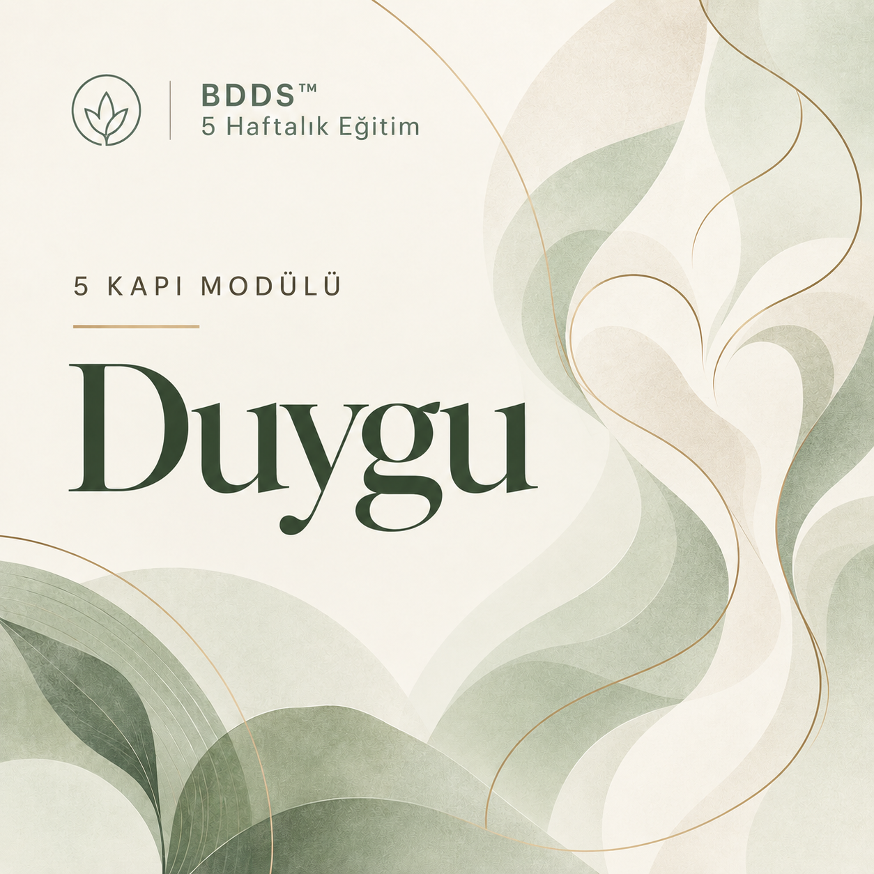 Duygu modülü kapağı